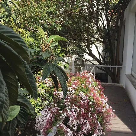 아파트 Amazing Mezzanine House With Garden - Centre